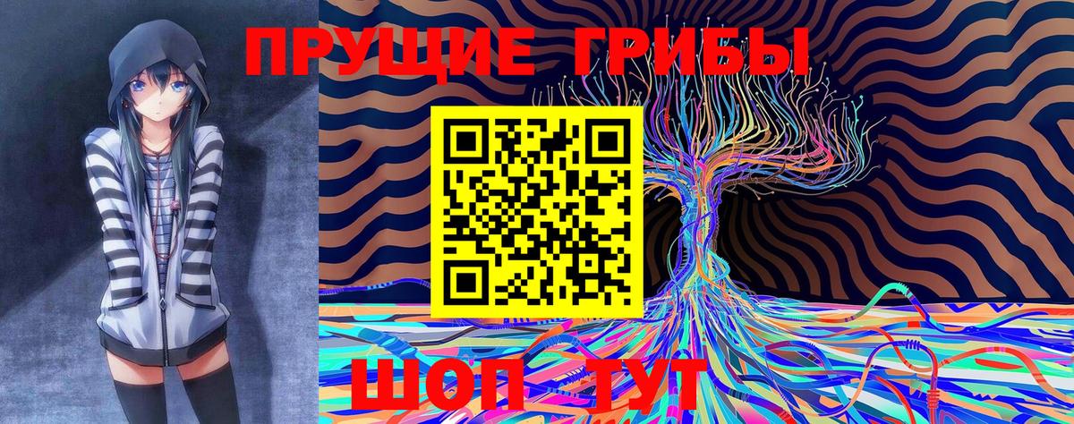 Галлюциногенные грибы прущие грибы Елизово